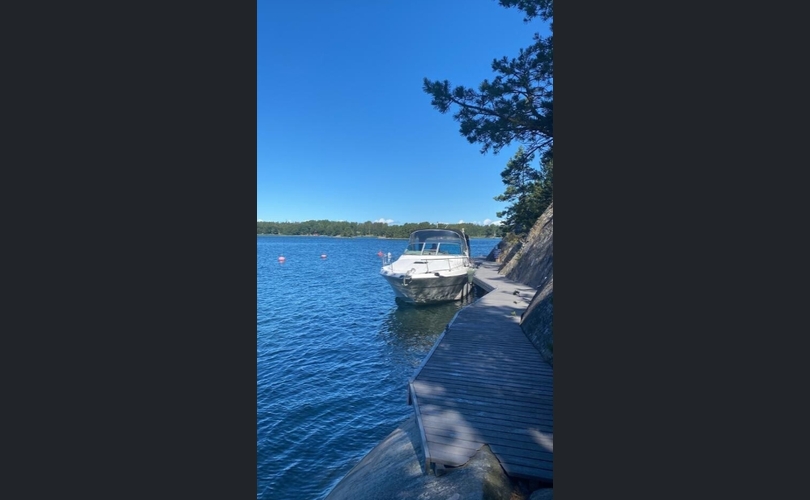 Sea Ray 310 Sundancer-kuva-14